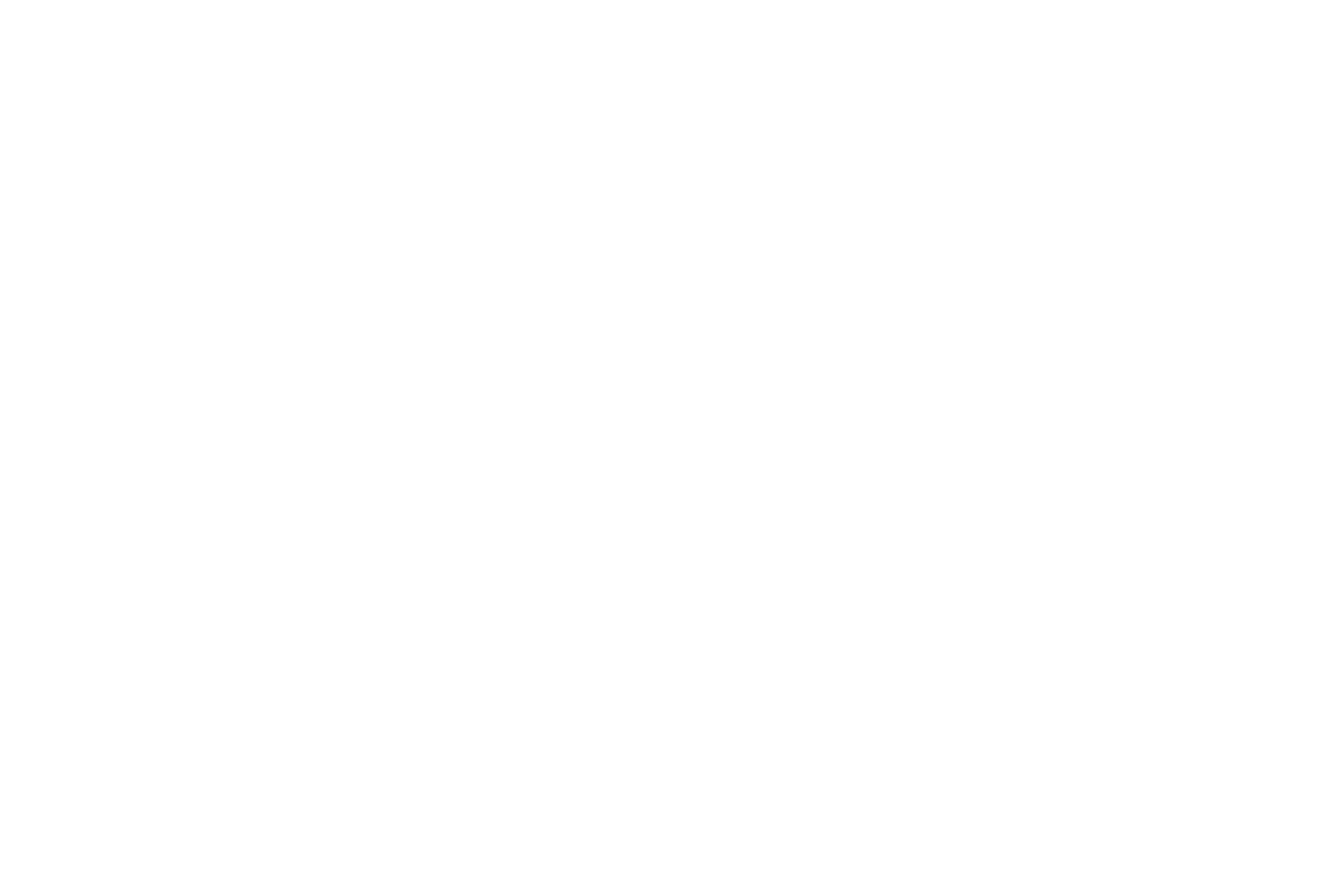 Tømrermester Burmann logo med huskontur