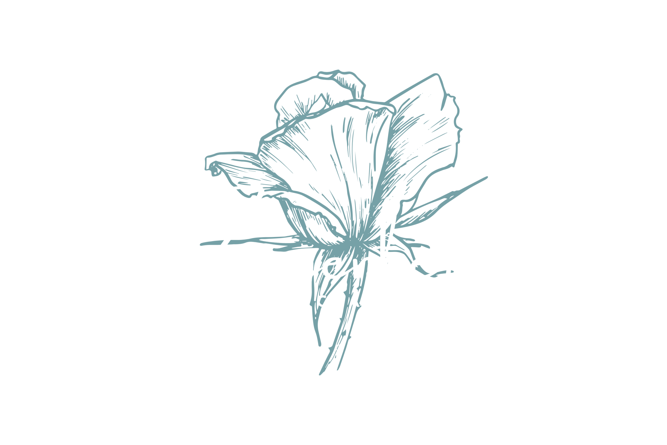 ine-art blomst – dekorativ grafik til branding